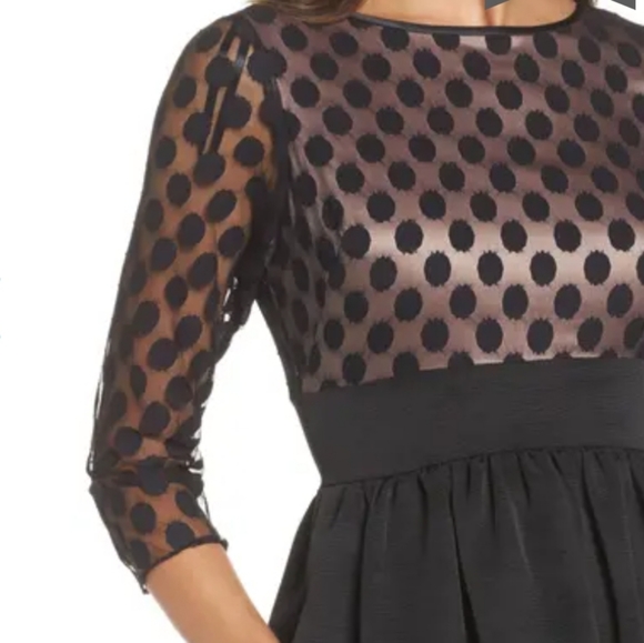 Eiza J Dot Mesh Fit and Flare Dress with pockets - Picture 5 of 15